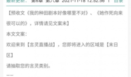 言灵直播战91,揭秘虚拟世界中的直播传奇